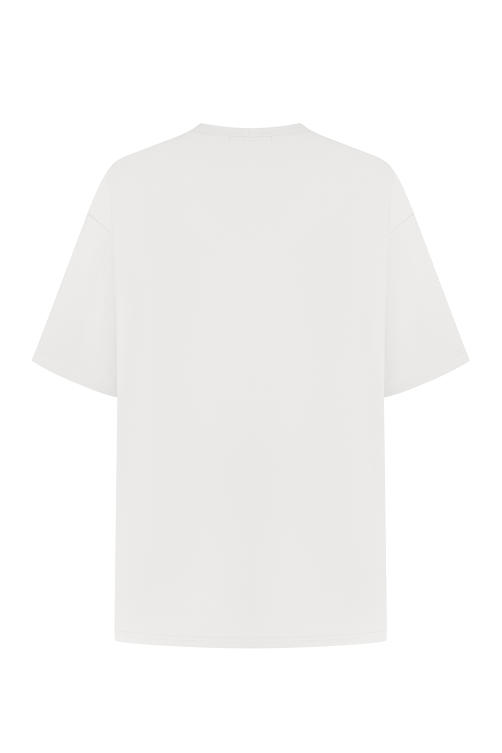 Basic t-shirt 1